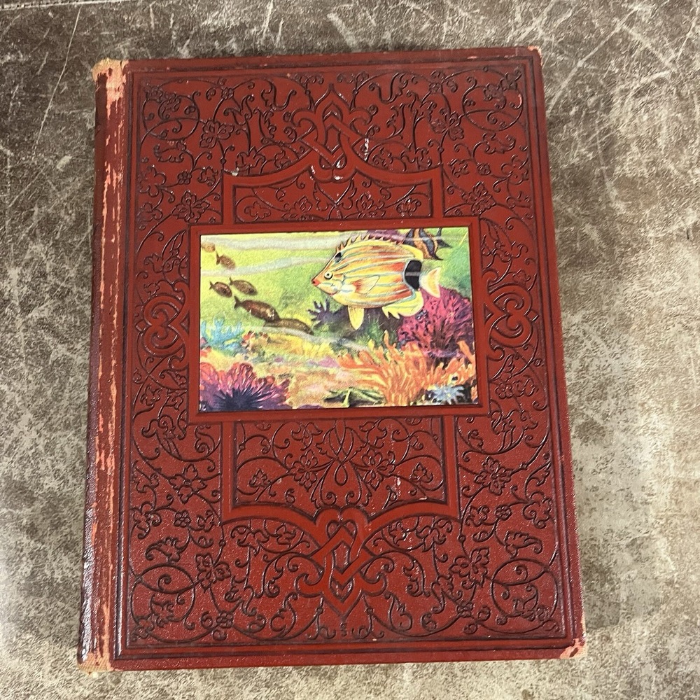 Geo L Shuman The New Wonder World Vol 10 Red Embossed Vintage Book 1932 Nature